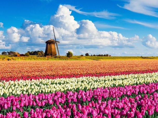 Tiếc hùi hụi khi bỏ qua những điểm du lịch nổi tiếng của Hà Lan