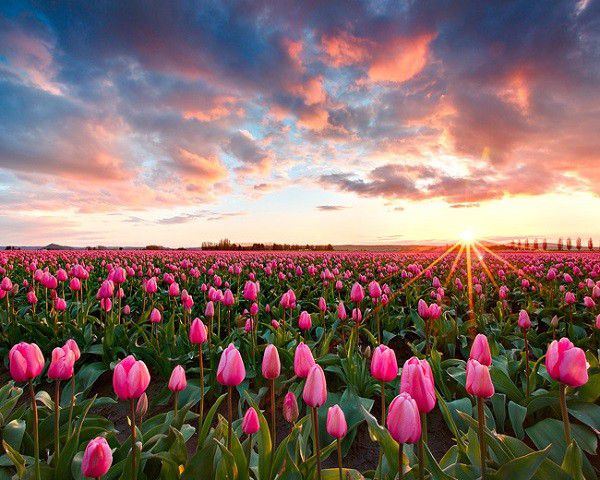Hà Lan, đất nước xinh đẹp nhất thế giới